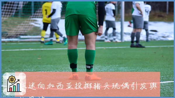 球迷向加西亚投掷猪头玩偶引发舆论风波