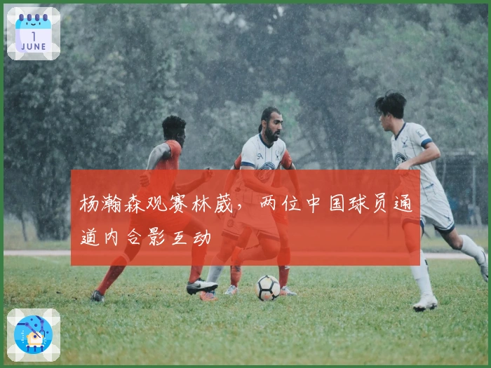 杨瀚森观赛林葳，两位中国球员通道内合影互动